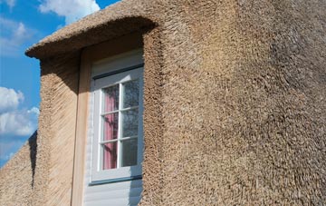 Southrey thatch roof disadvantages