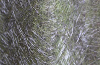 Southrey fibreglass roof work